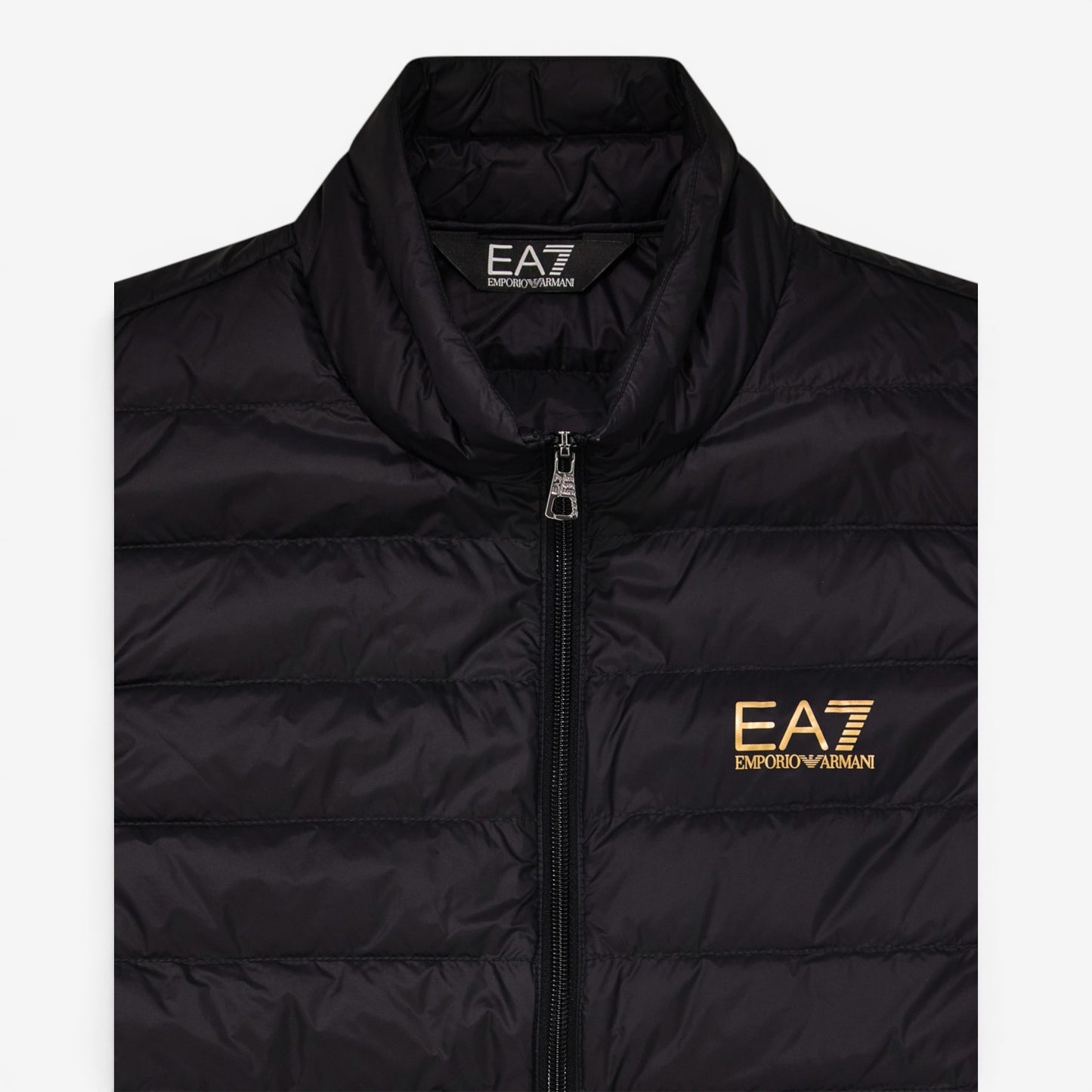 EA7 | Smanicato