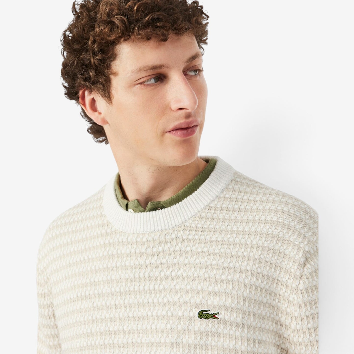 Lacoste | Maglione Jacquard in cotone AH8569