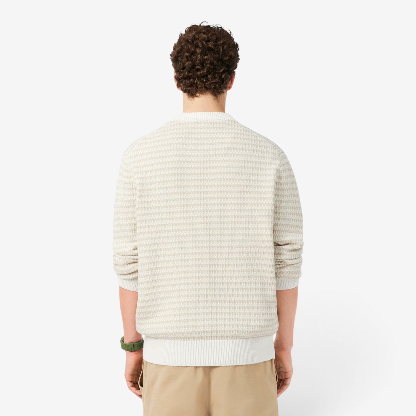 Lacoste | Maglione Jacquard in cotone AH8569