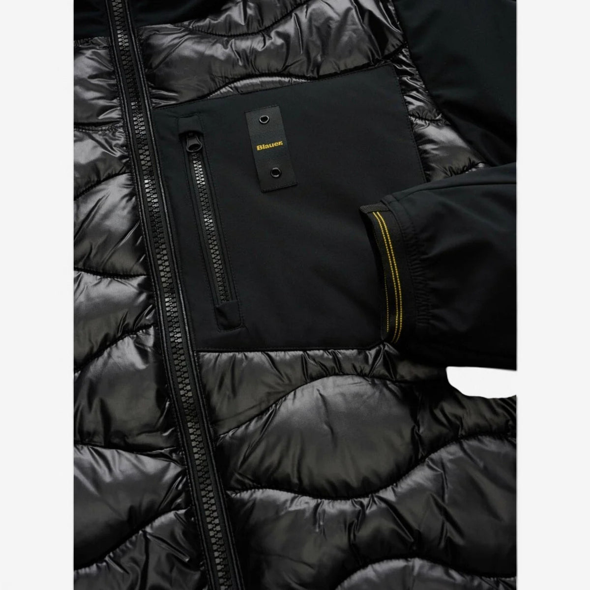 Blauer | Giubbino Albert imbottito Piuma BLUC08068-006355